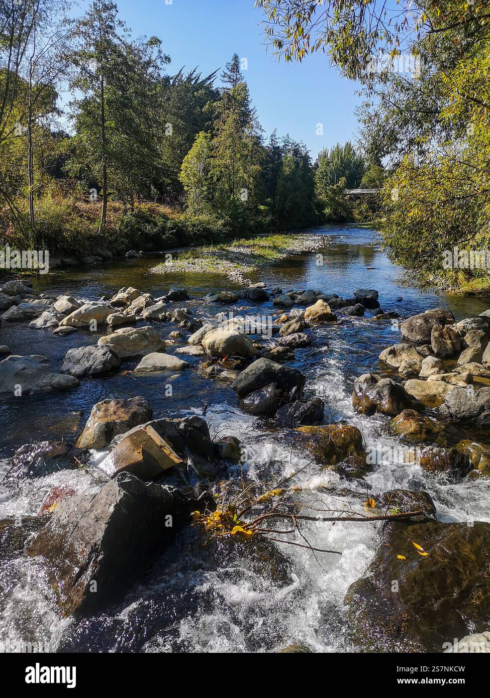 Wellington Rivers A section of the Waipoua River as it passes through Masterton ...
