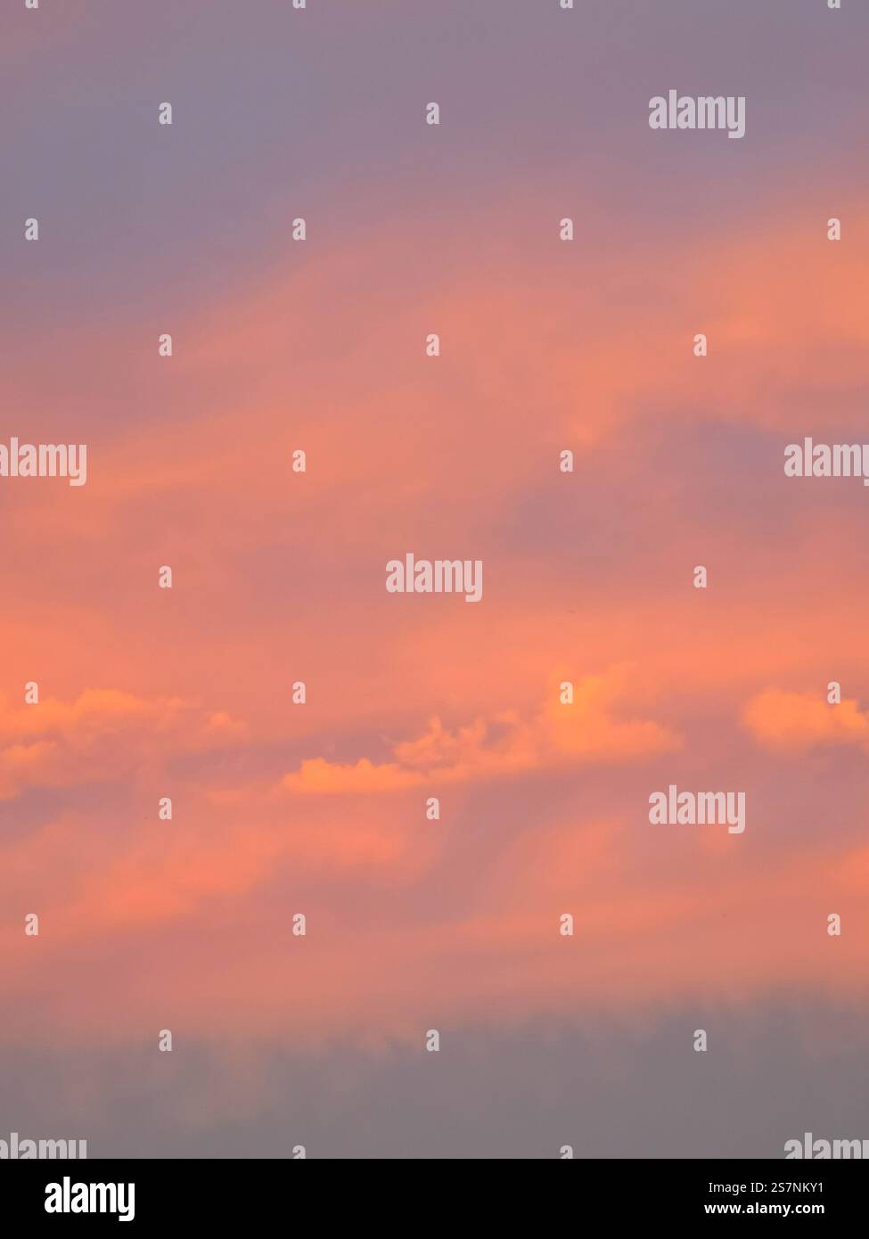 Pink and purple clouds during sunset Stock Photo