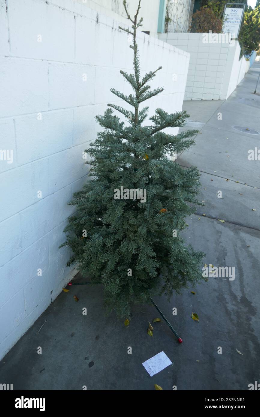 Los Angeles, California, USA 18th January 2025 Christmas Tree on ...