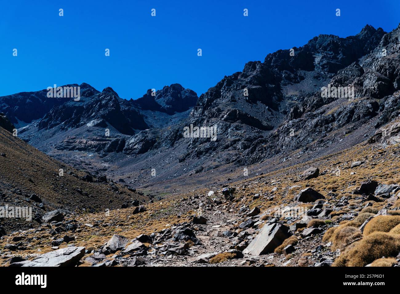 Cactus berber villages high atlas hi-res stock photography and images ...