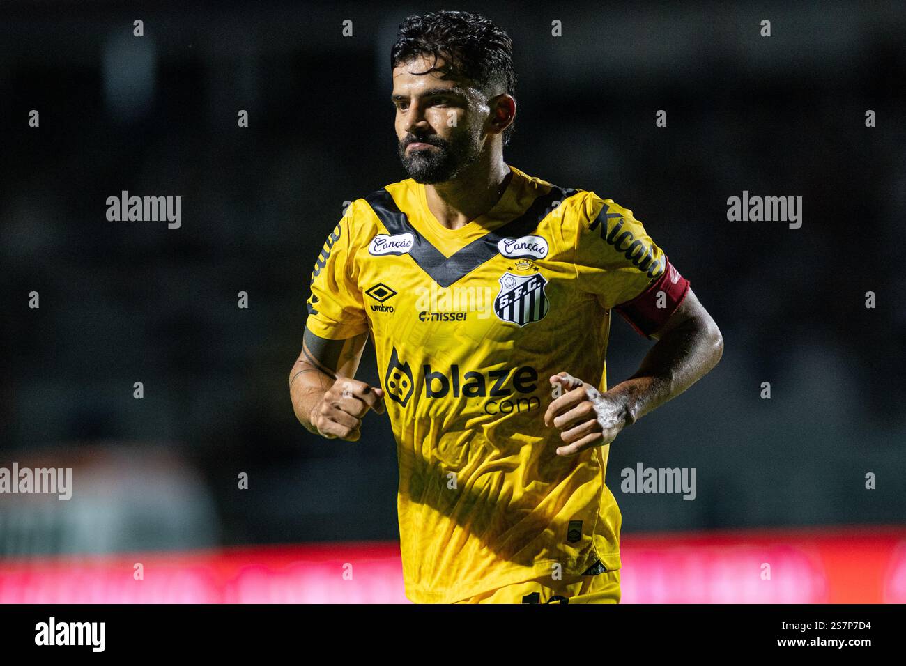 Tomas Ricon Sao Paulo, Brazil. 19th Jan, 2025. Tomas Rincon, Santos player, during ...