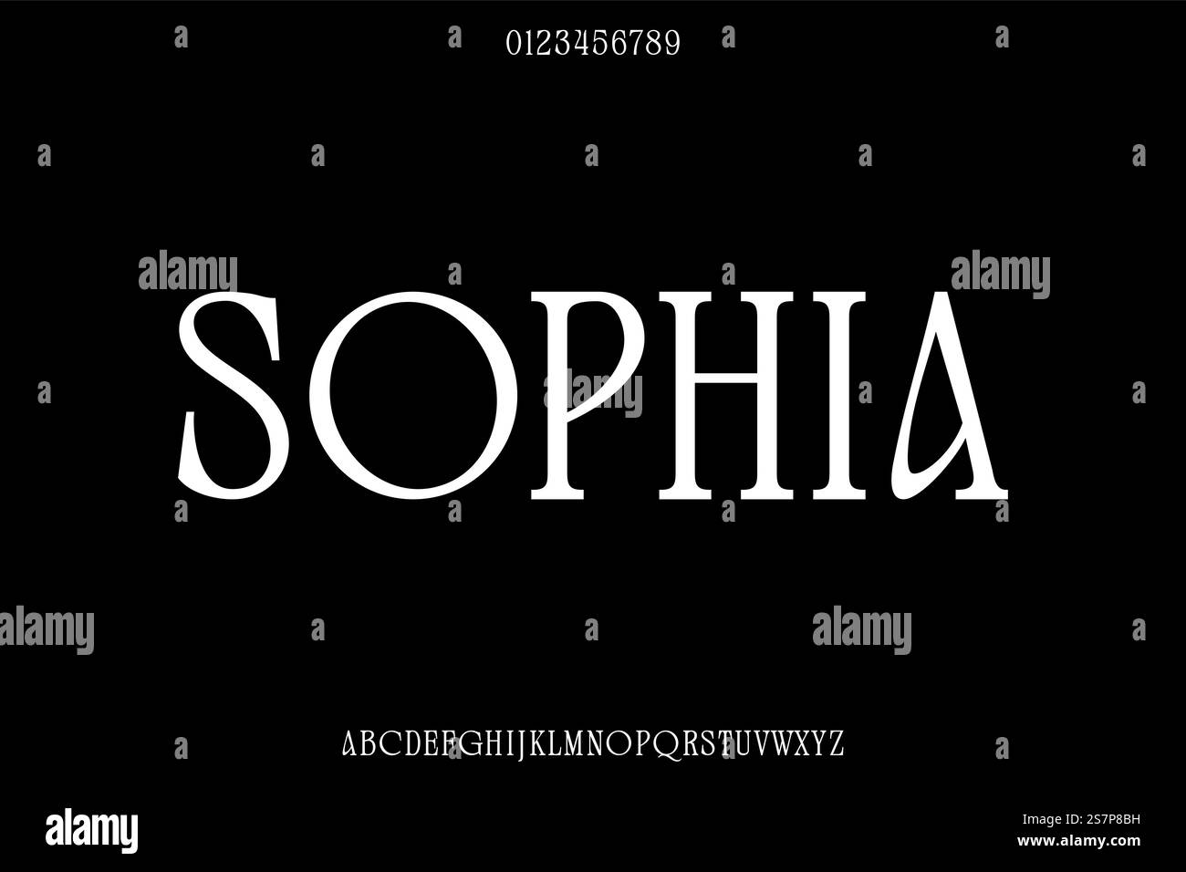 Unique and elegant serif display font vector Stock Vector