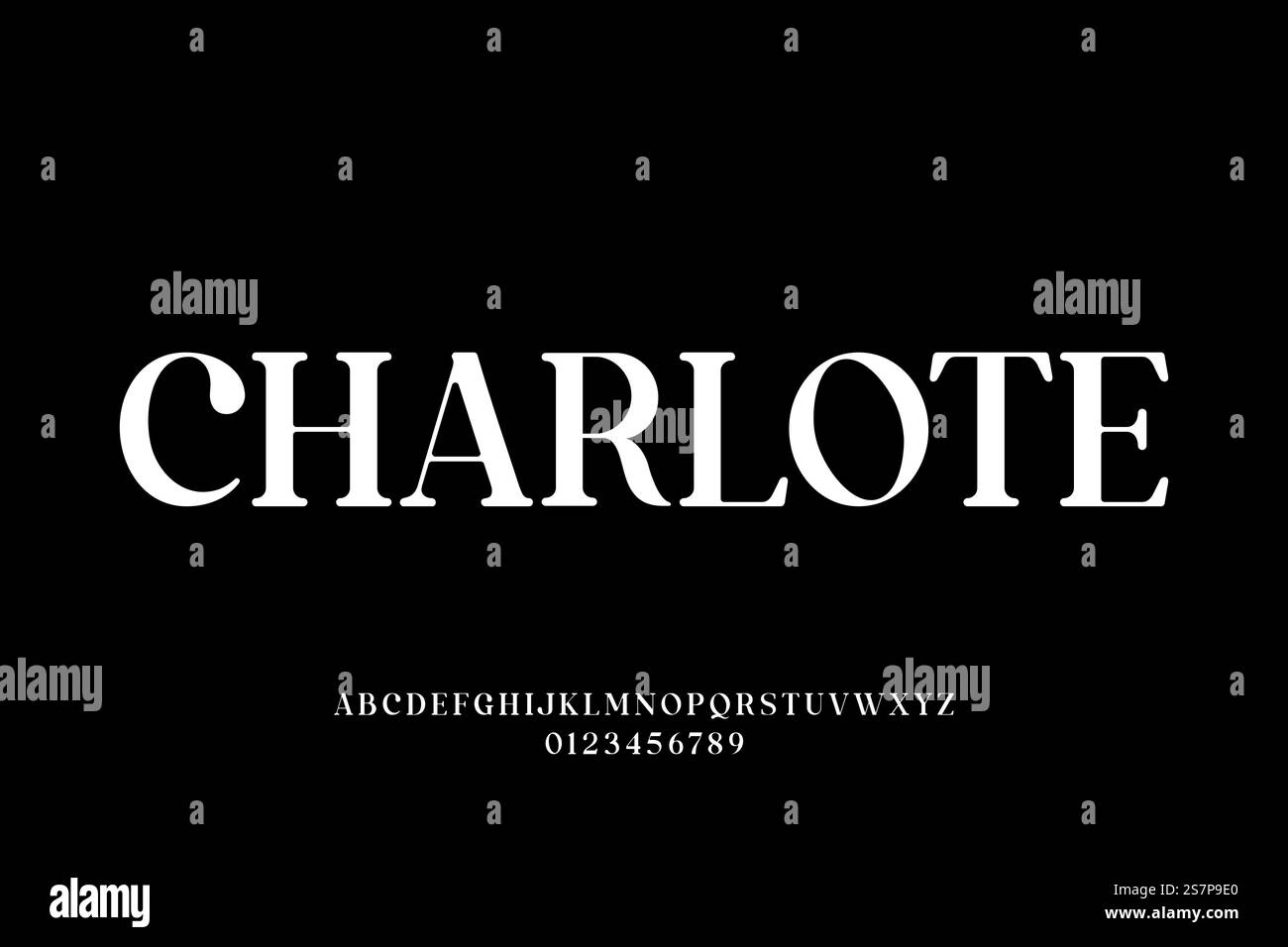 Elegant serif display font vector Stock Vector