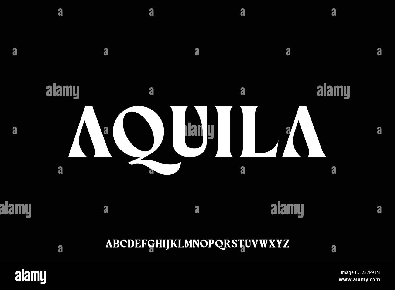 Elegant luxury bold serif display font vector Stock Vector