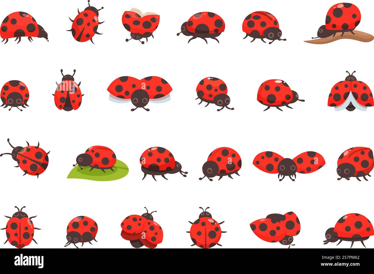 Ladybug icons set cartoon vector. Bug insect. Animal wing. Ladybug ...
