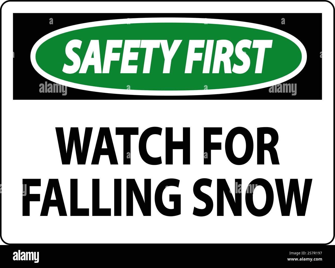 The first snow Stock Vector Images