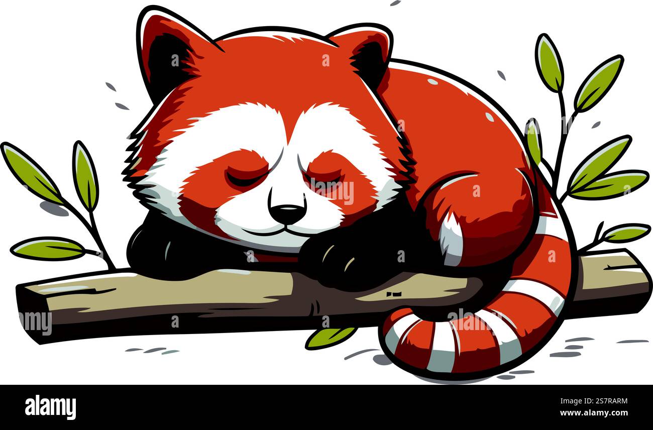 Cute red panda sleeping on a branch. Vector illustration. Stock Vector
