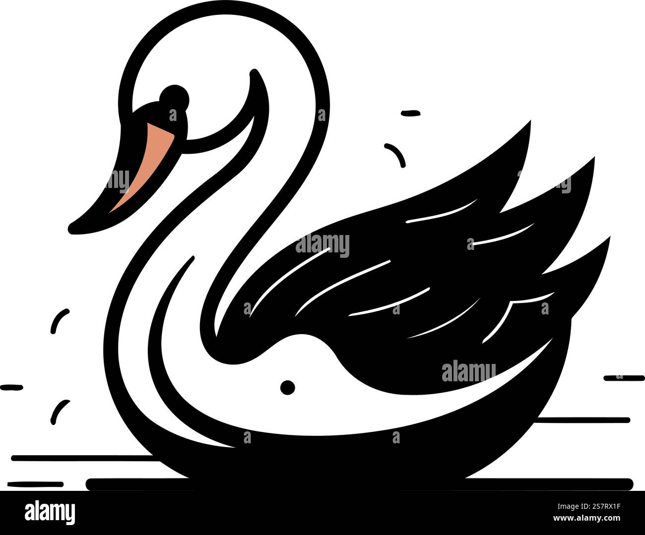 swan with wings on a white background. black and white vector ...