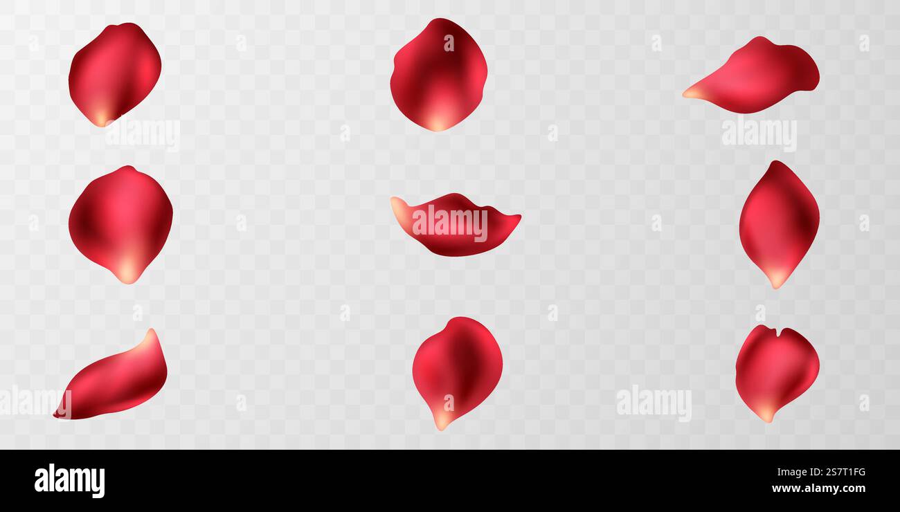 beautiful red rose petals background vector illustration Stock Vector ...