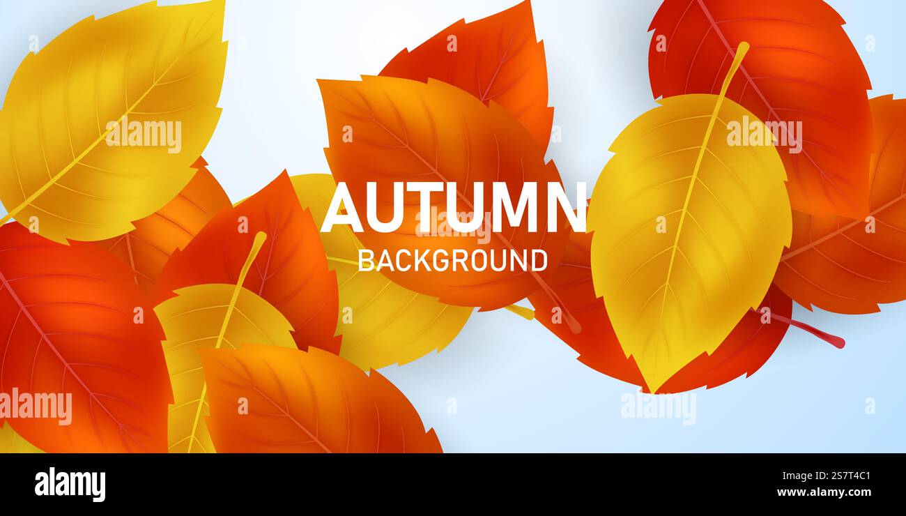 beautiful autumn scene background vector illustration Stock Vector ...