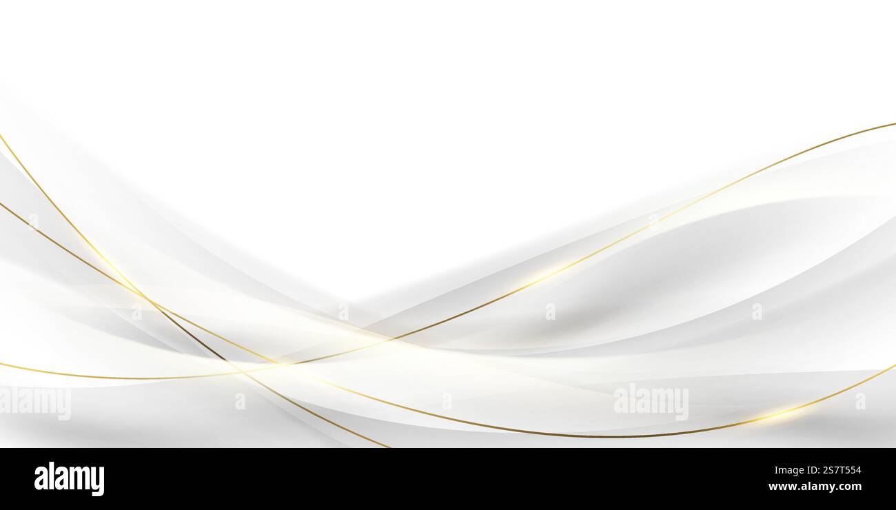 white luxury abstract background with vector illustration Stock Vector ...