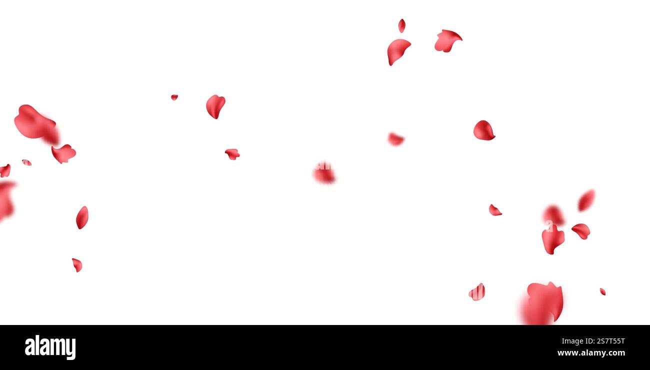 falling rose petals background vector design 3D illustration Stock ...