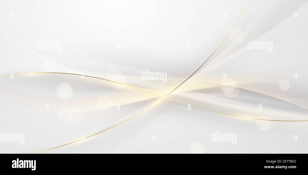 white luxury abstract background with vector illustration Stock Vector ...