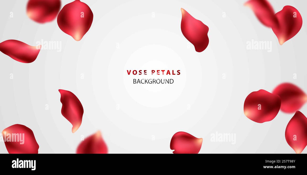 beautiful red rose petals background vector illustration Stock Vector ...