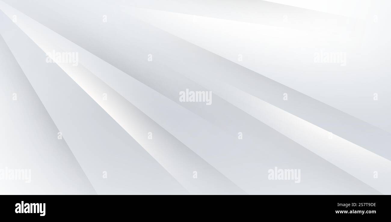 white luxury abstract background with vector illustration Stock Vector ...