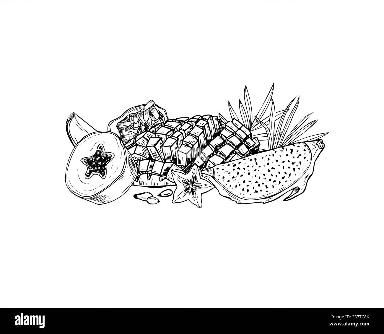 Aromatic delicious fruit mix hand drawn black and white vector illustration. Papaya, mango, carambola, maracuja, Pitahaya slices with tropical palm Stock Vector