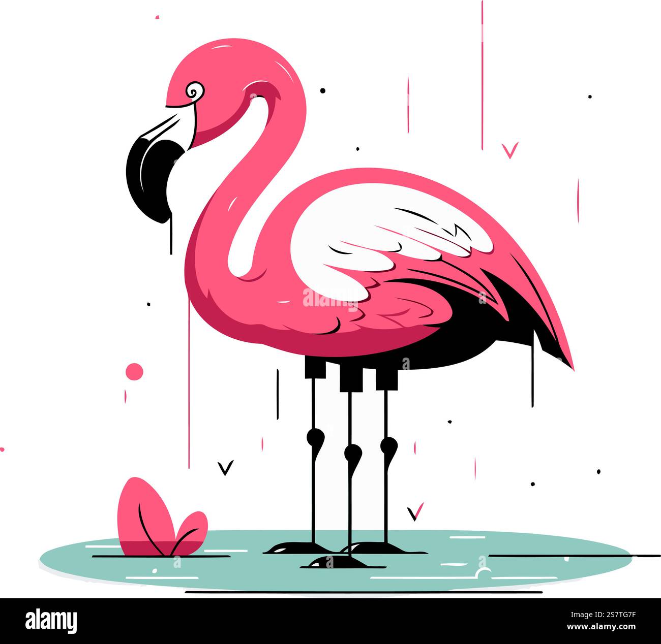 Flamingo. Vector illustration in flat style on white background Stock ...
