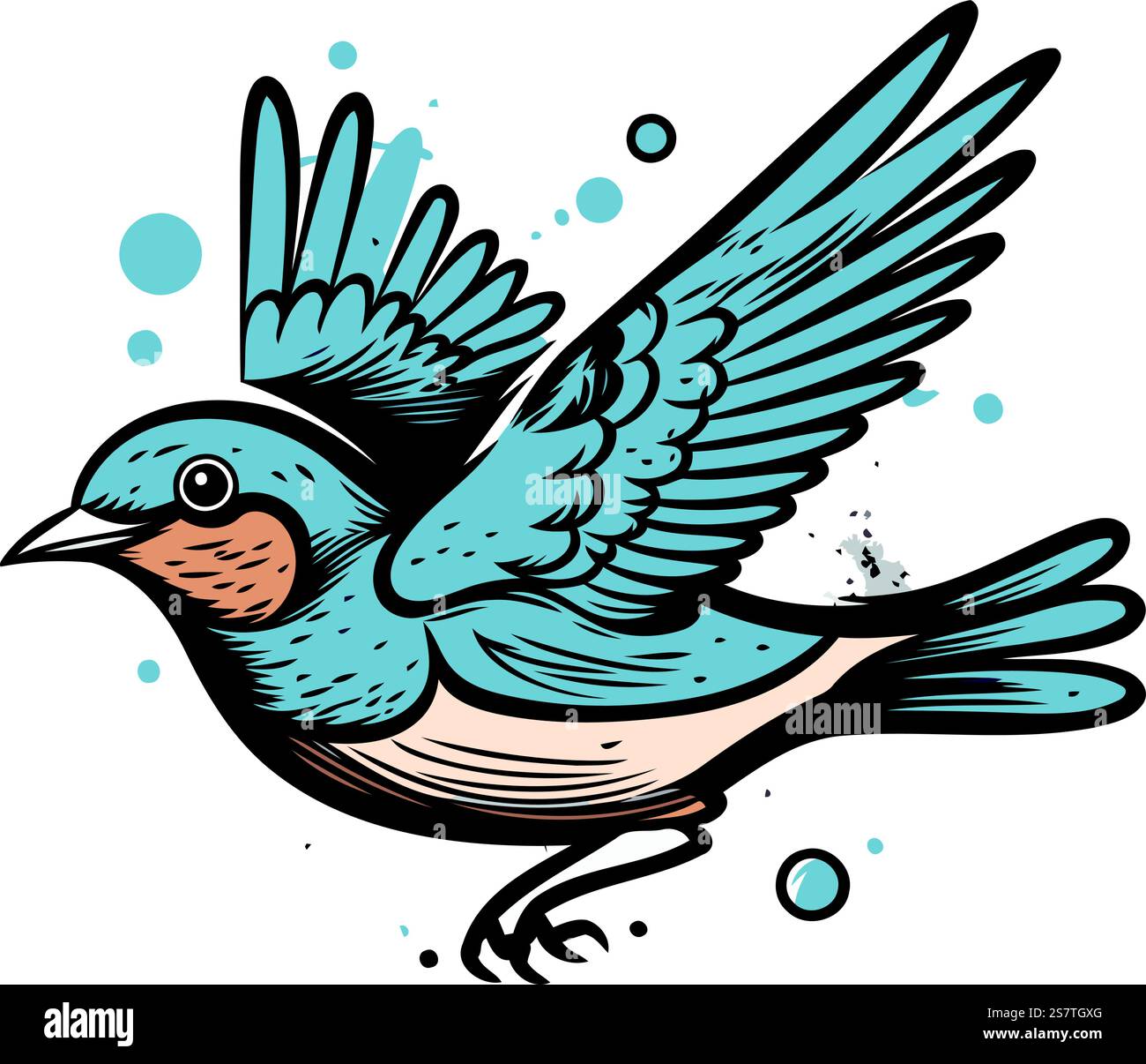 Flying Shallow Vector Flying swallow. Hand drawn vector illustration isolated on a white ...