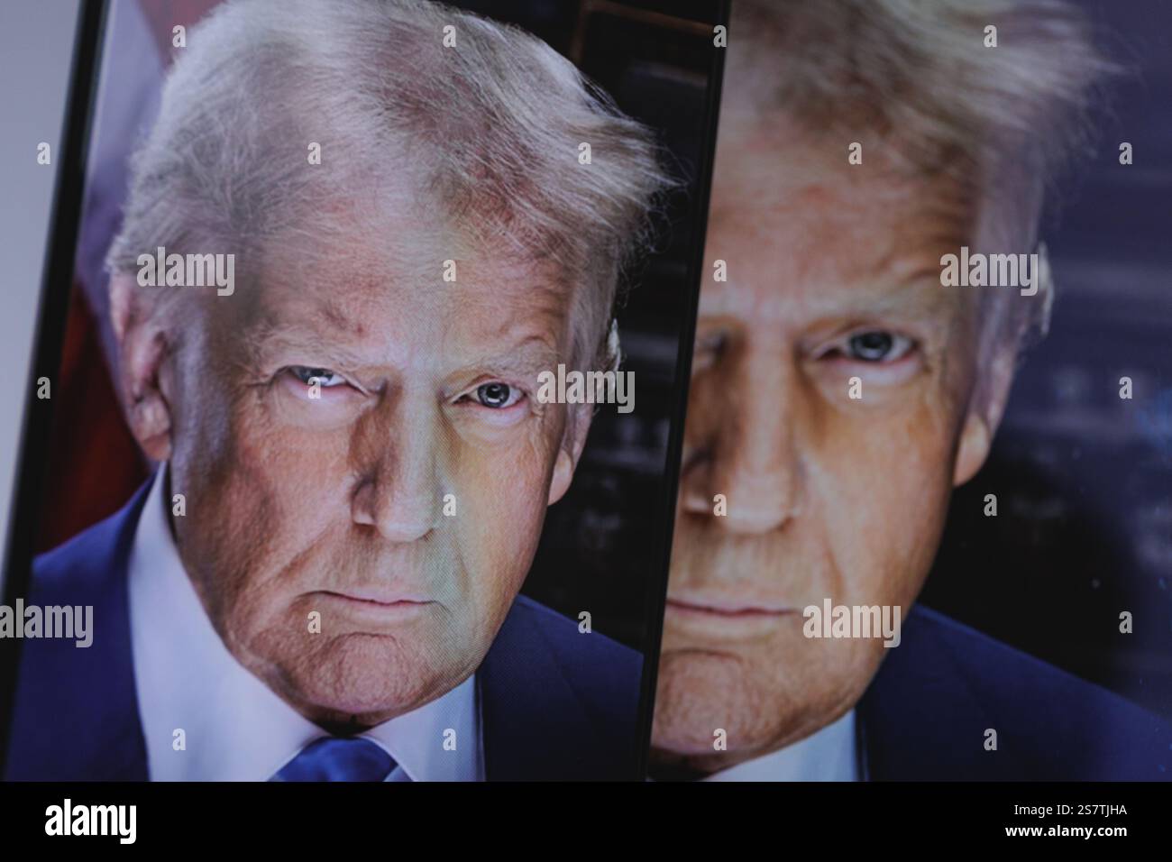 Donald Trump new official portrait. The president of the United States