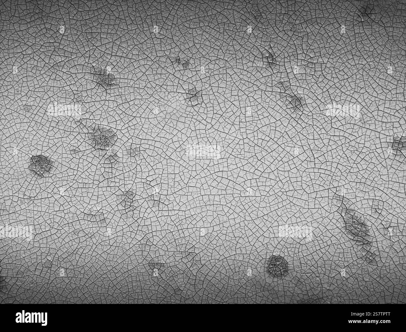 Unique textures Black and White Stock Photos Images Alamy