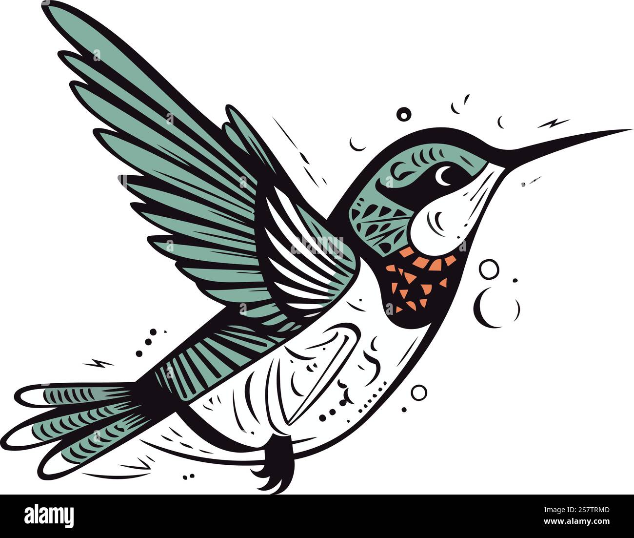 Vector image of a hummingbird in flight. Hand drawn illustration Stock ...