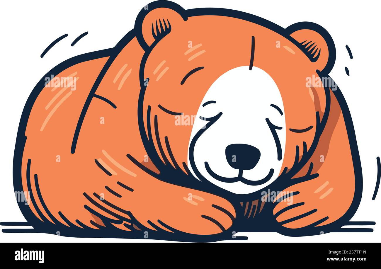 Vector hand drawn illustration of sleeping bear. Isolated on white ...