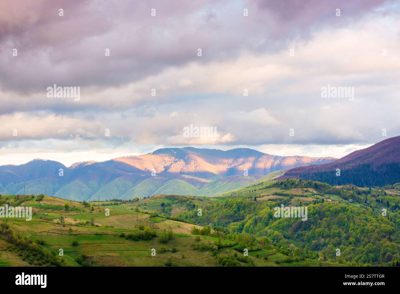 mountain landscape in spring. highlands of ukraine. countryside scenery with rolling hills. sky with clouds in evening light. carpathian alps Stock Photo