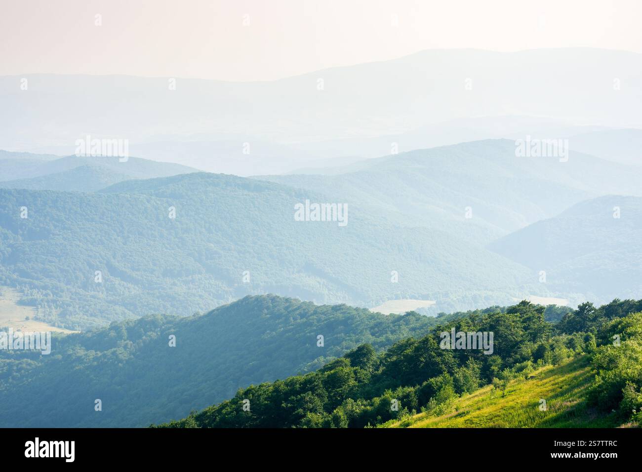 beautiful view of mountain landscape in summer. vacation season. green hill rolling in to the distance in evening light. lush forest on the slope Stock Photo