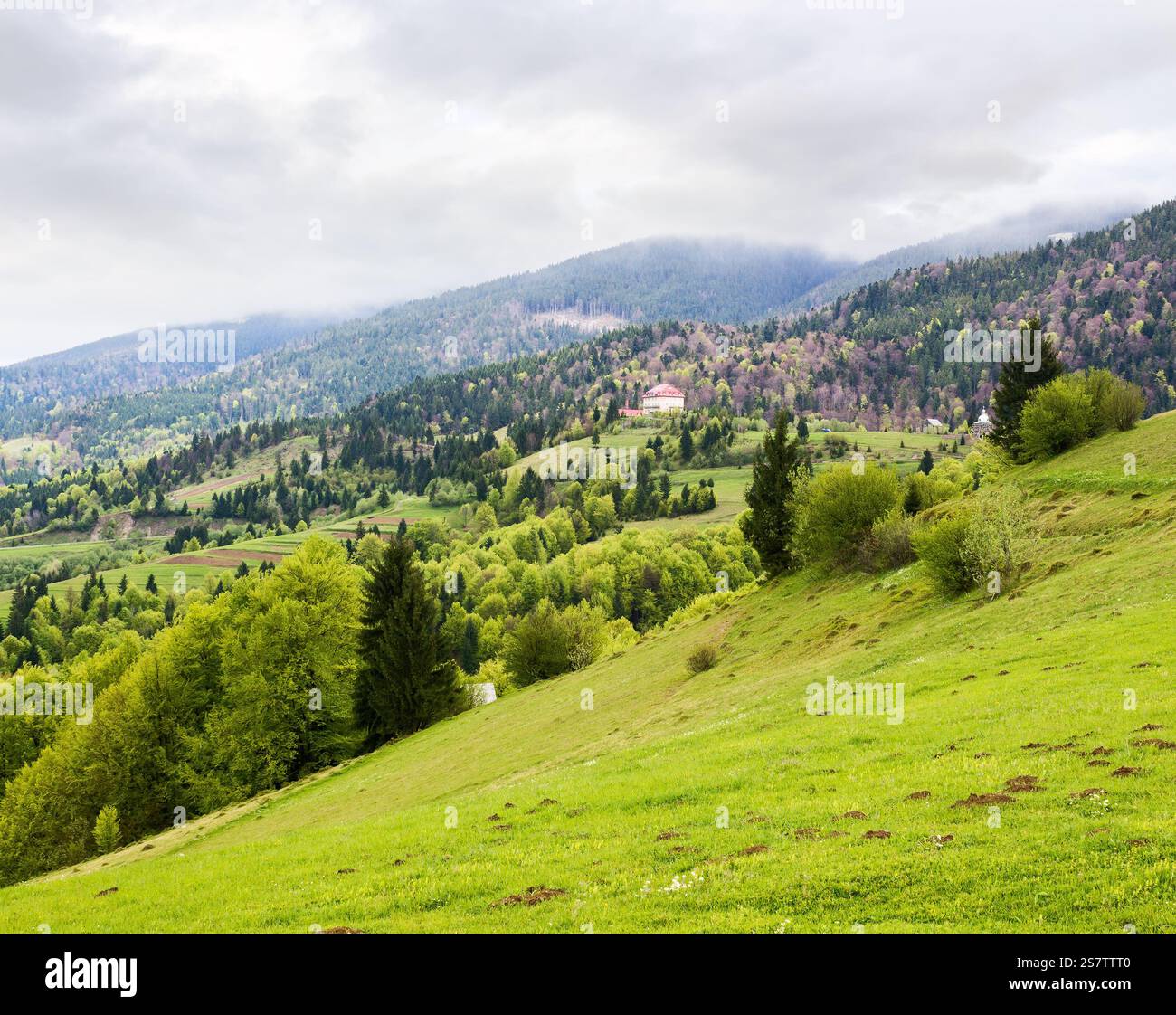 countryside mountain landscape in spring. cloudy weather forecast in may. field and forest on the hill. rolling rural scenery of transcarpathia Stock Photo