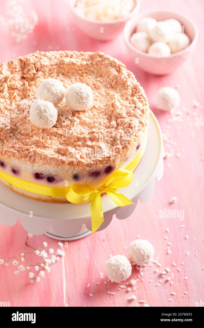 Sweet coconut cheesecake with chokeberries and coconut falkes. Coconut cheesecake with vanilla and berries. Stock Photo