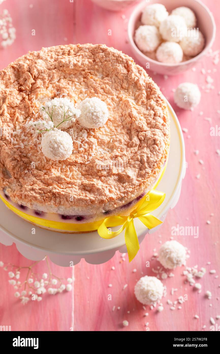 Homemade coconut cheesecake with chokeberries and coconut falkes. Coconut cheesecake with vanilla and berries. Stock Photo