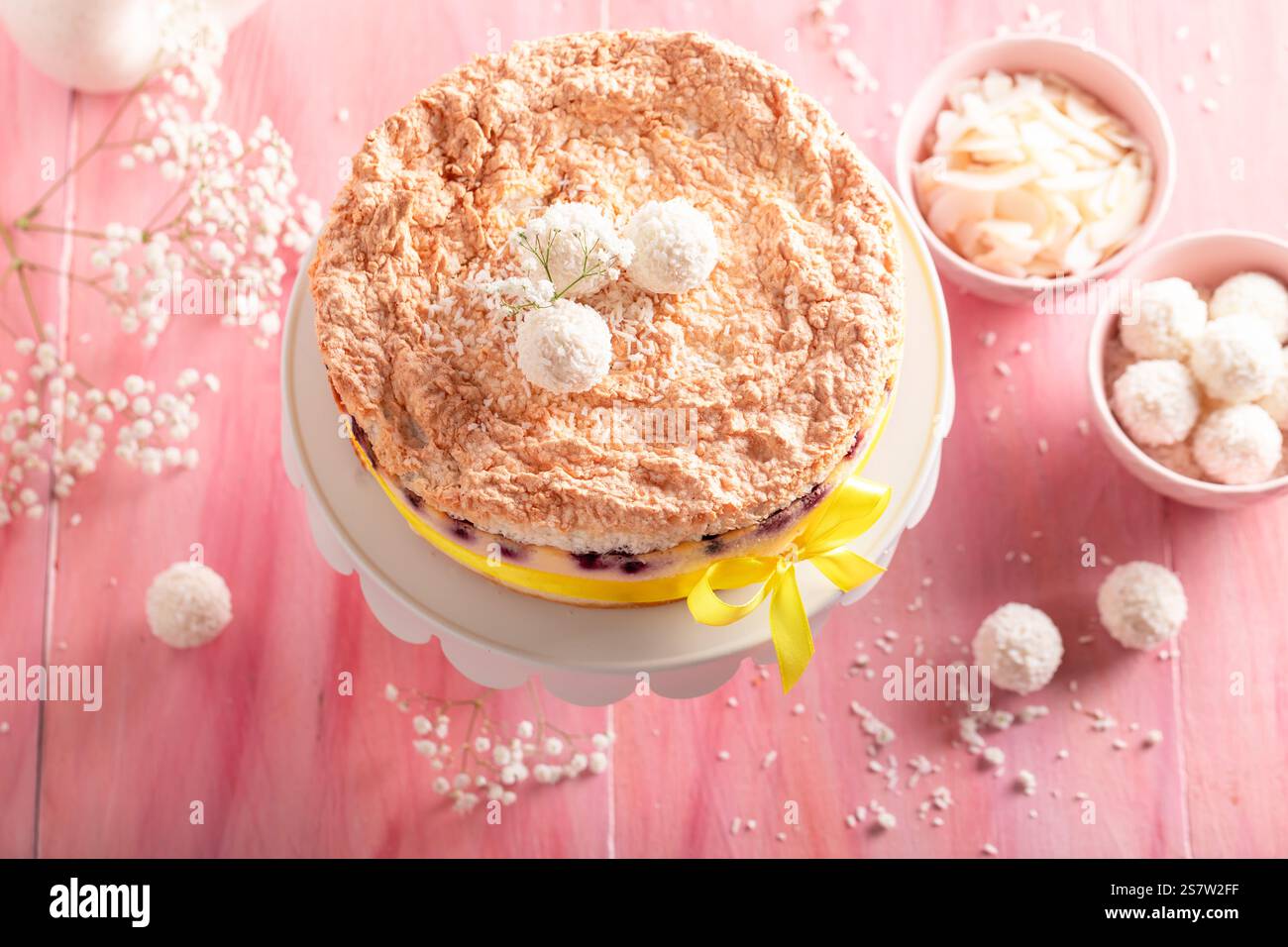 Tasty coconut cheesecake with chokeberries and coconut falkes. Coconut cheesecake with vanilla and berries. Stock Photo