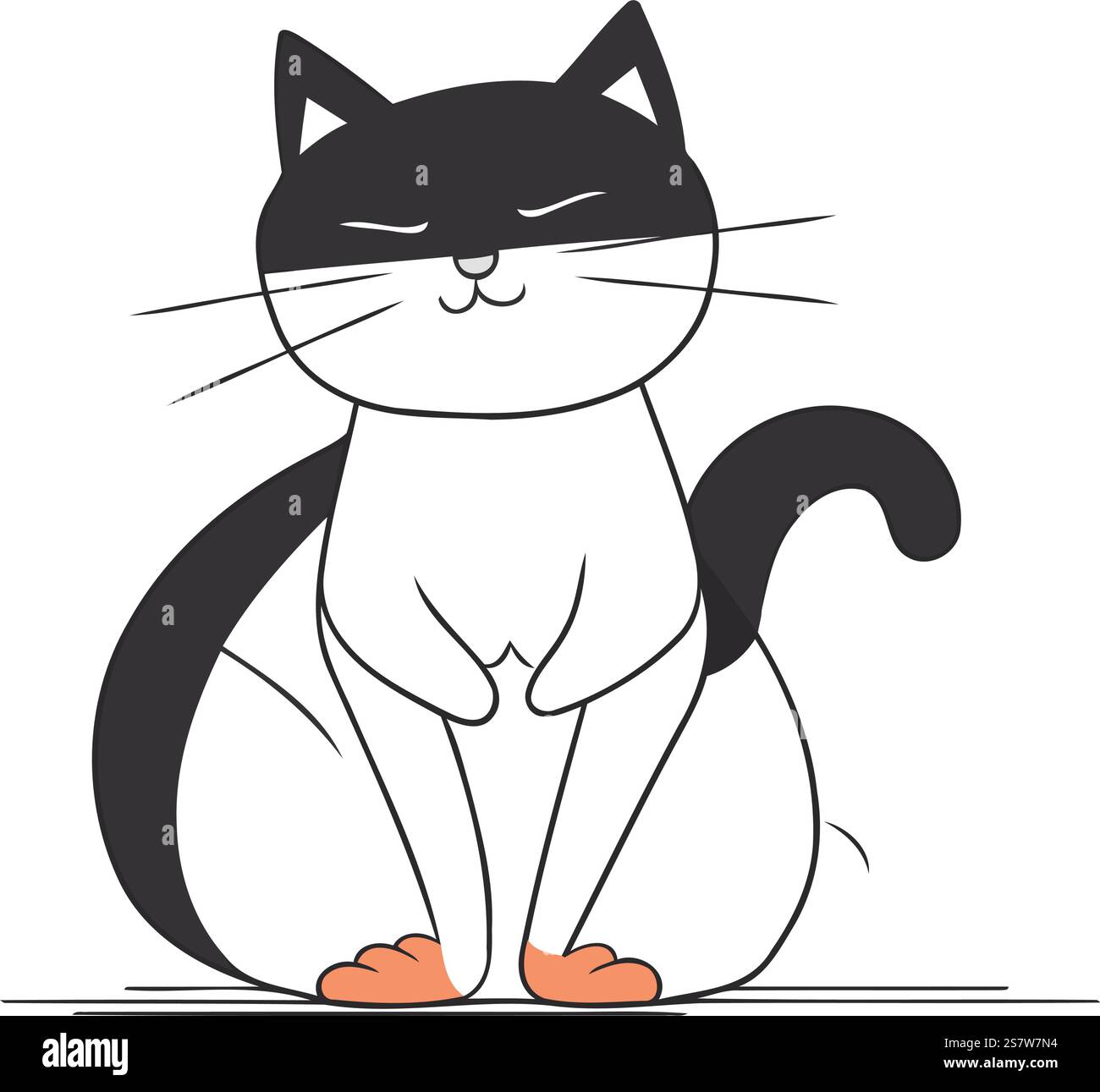 Cute black and white cat sitting on the floor. Vector illustration ...