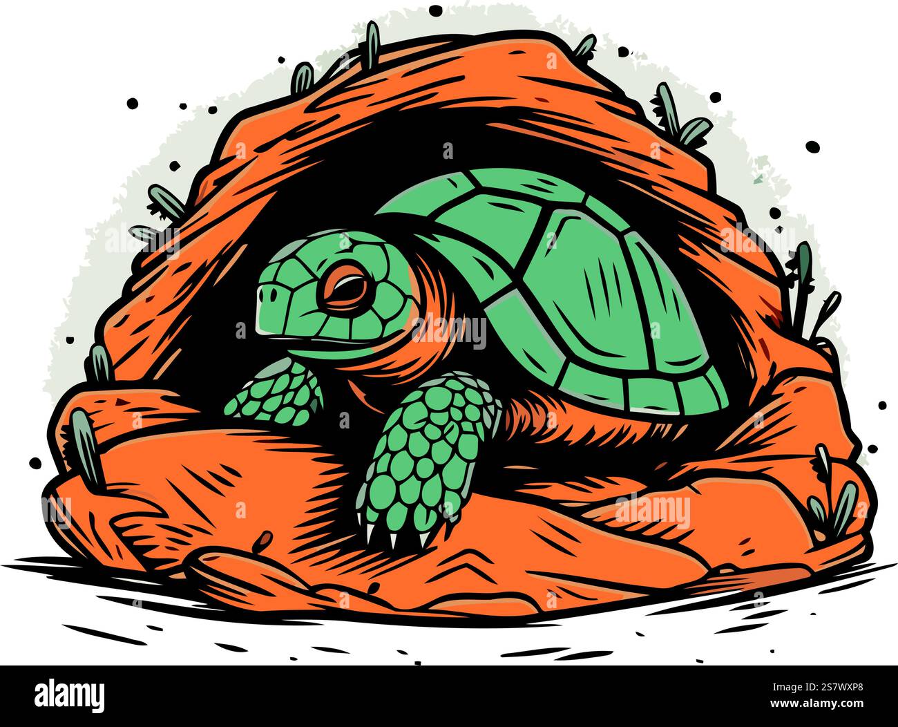 Turtle in shell. Hand drawn vector illustration in cartoon style Stock ...