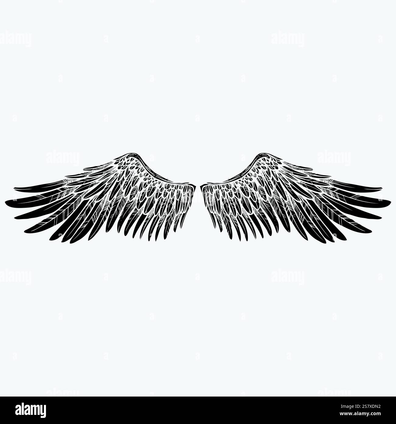 Wings vector silhouette Stock Vector Image & Art - Alamy