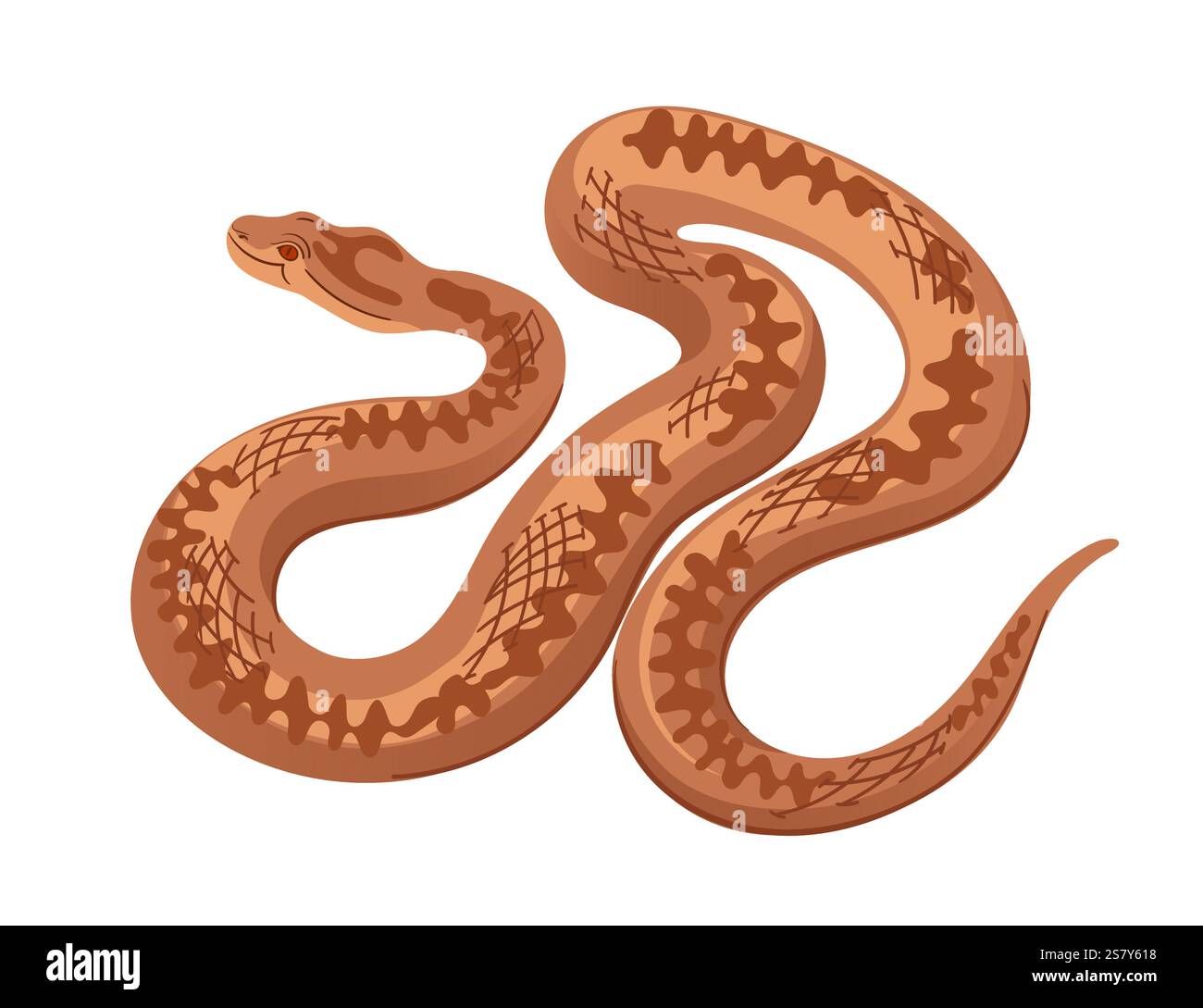 Snake with a zigzag pattern in a slithering pose. Simple cartoon animal ...