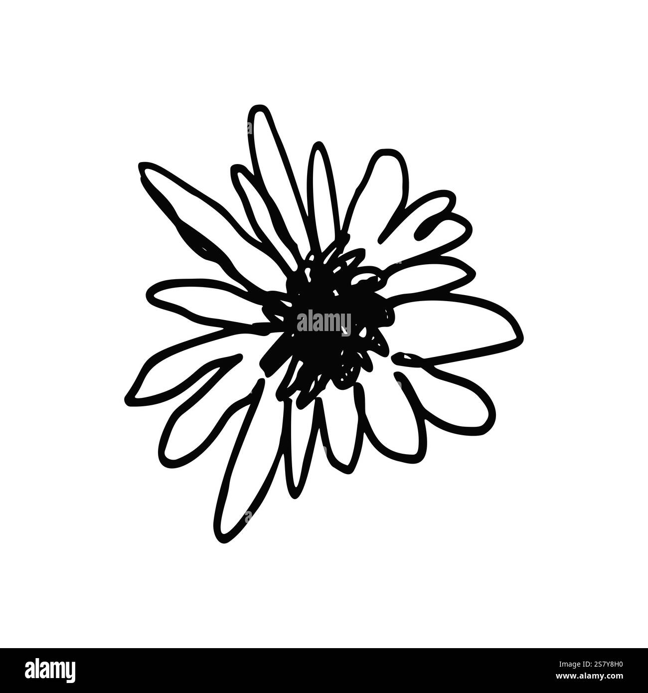 Hand drawn black ink abstract daisy flower isolated on white background ...