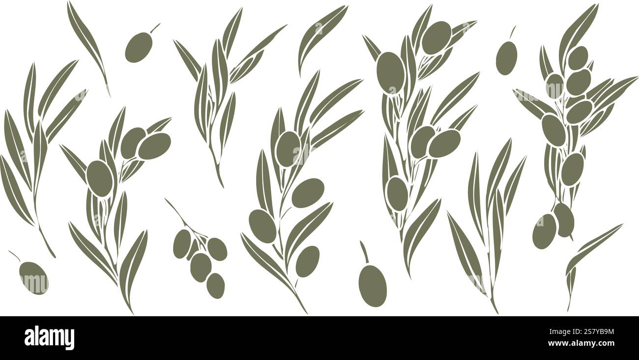 hand drawn vector collection of olive branches silhouette with fruits ...