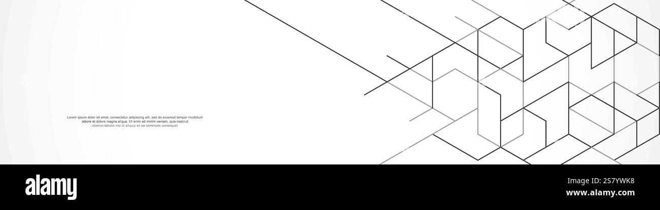 Simple Panormic Pattern Panoramic view of abstract geometric background with hexagons shape ...