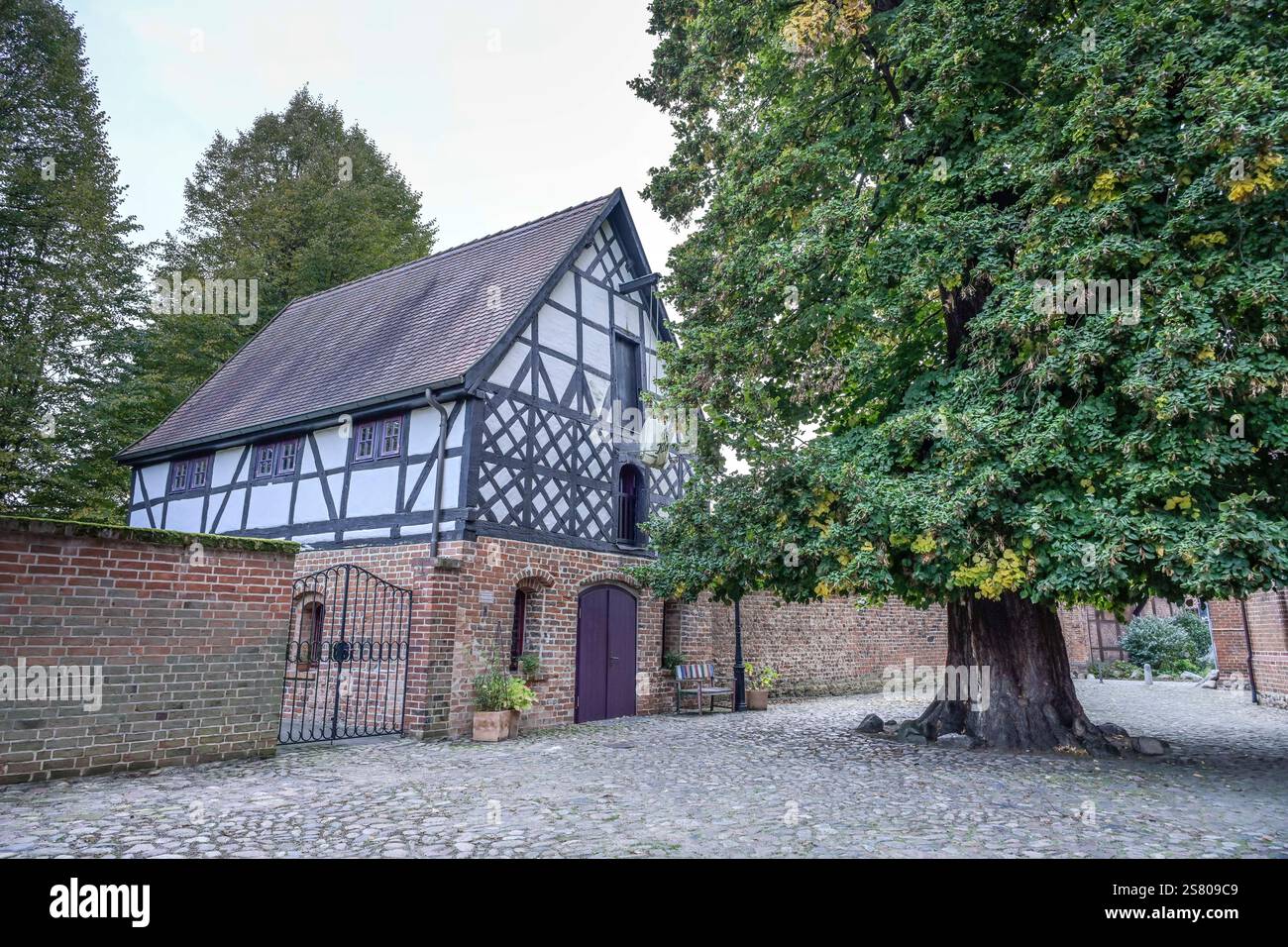 Scheune und Begegnungsort Die Kluhs, Lindenbaum, Kirchhof, An der Marienkirche, Altstadt, Salzwedel, Sachsen-Anhalt, Deutschland Stock Photo