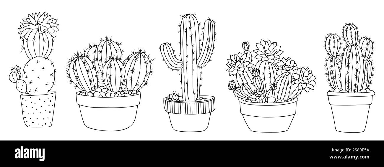 Set of Cactus House plants outline drawings Stock Vector Image & Art ...