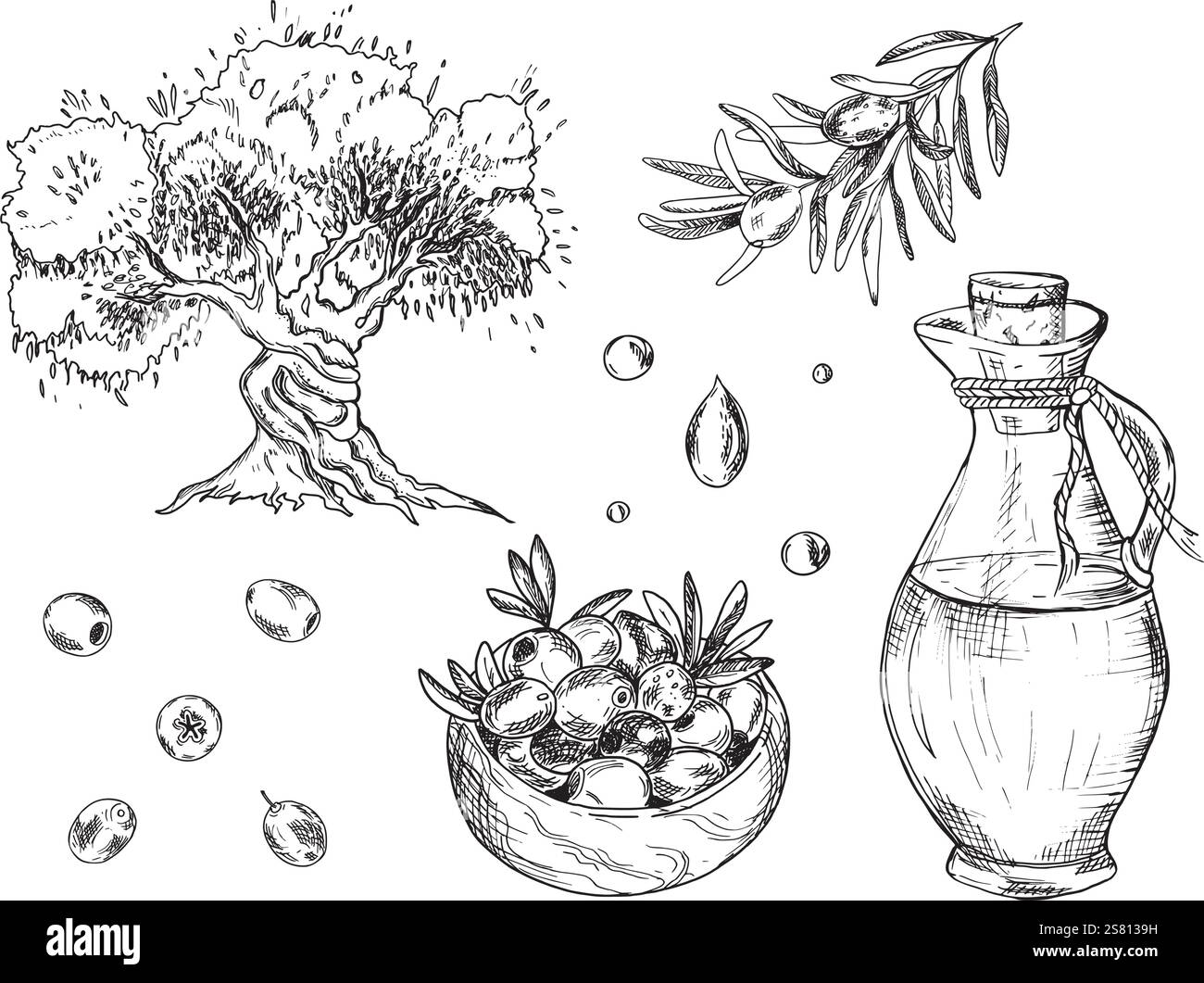 Olive set. Branches, isolated Fruits and olives in a Wooden Bowl, olive ...