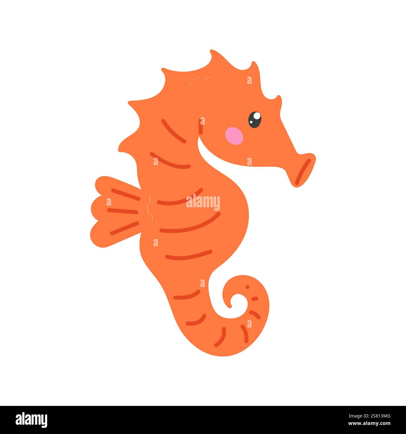 Vector illustration of seahorse isolated on white background Stock ...