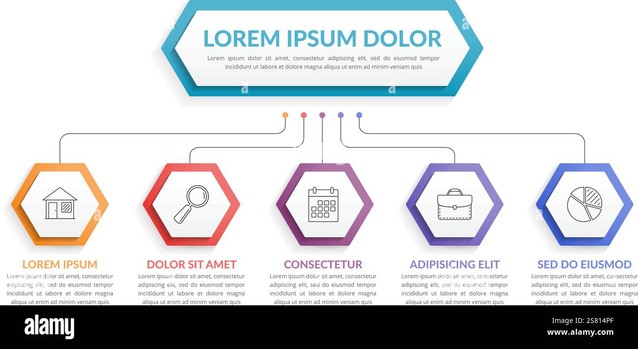 Infographic template with hexagons with main idea and 5 steps or options, workflow, process chart, vector eps10 illustration Stock Vector