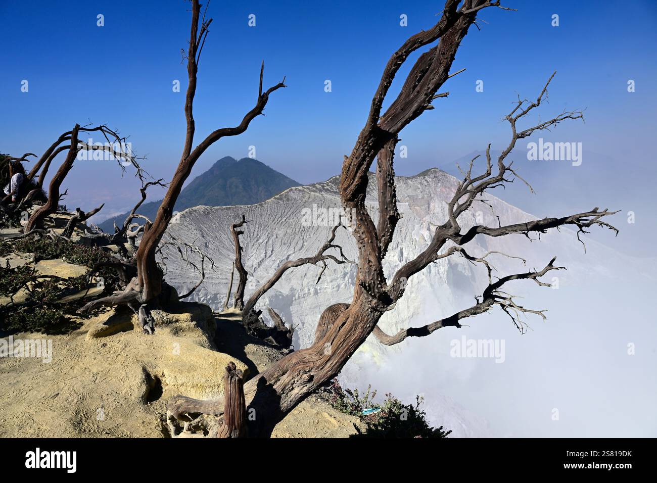 Kawah Ijen volcano,East Java,Indonesia,Asia Stock Photo - Alamy