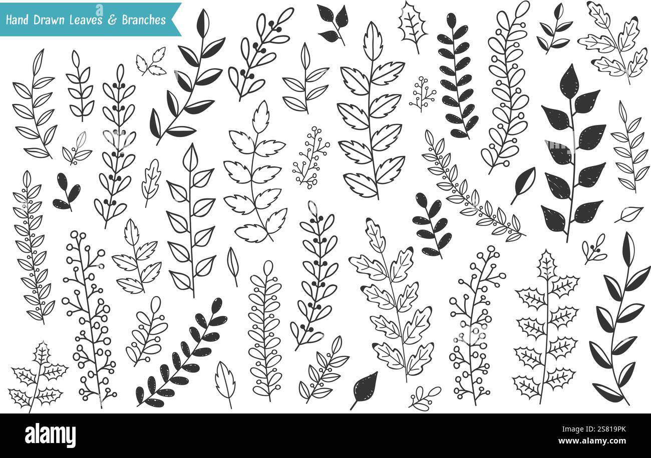 Collection of hand drawn leaves and branches on white background ...
