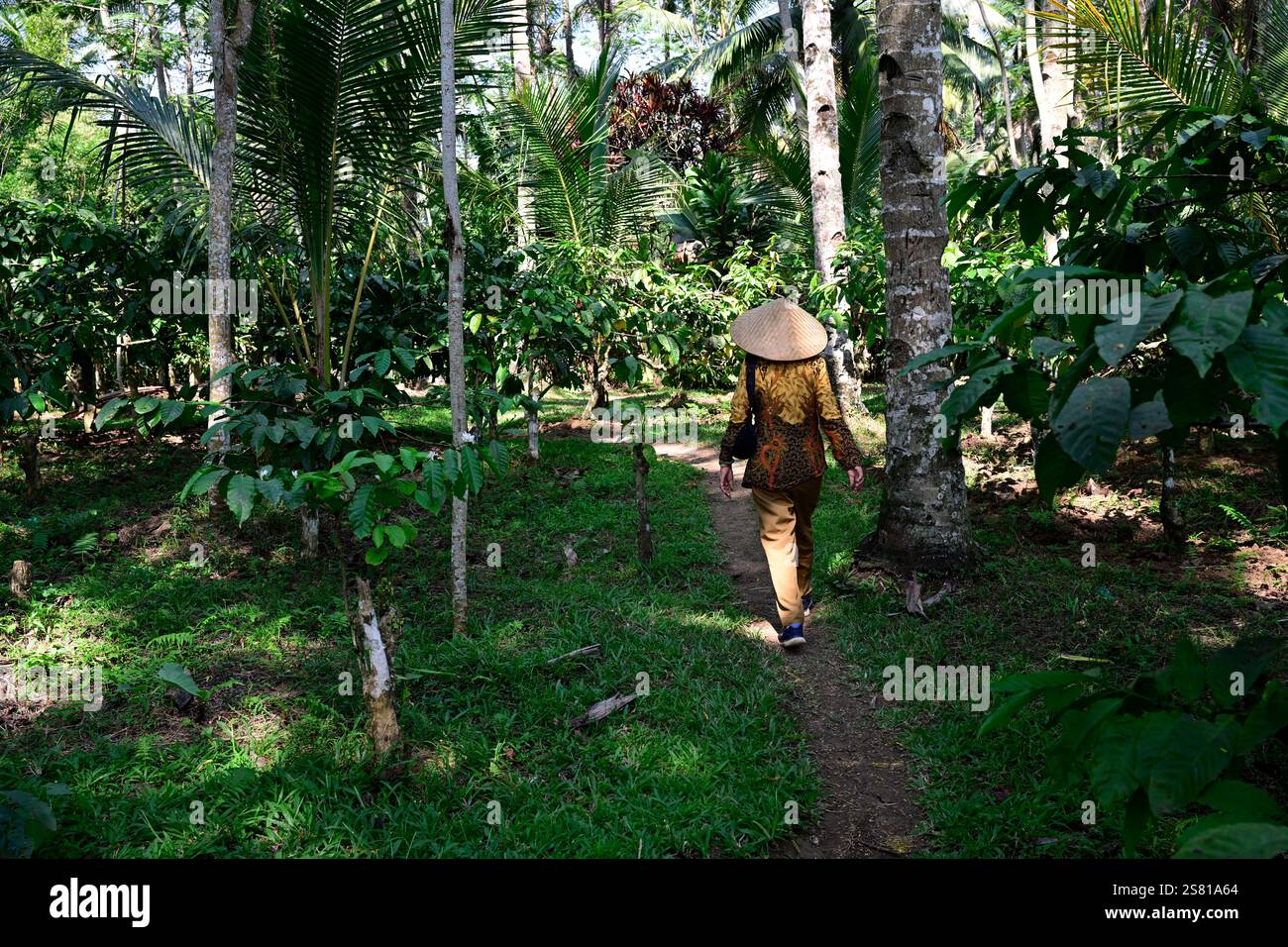 Botanical garden , Java island,Indonesia Stock Photo - Alamy