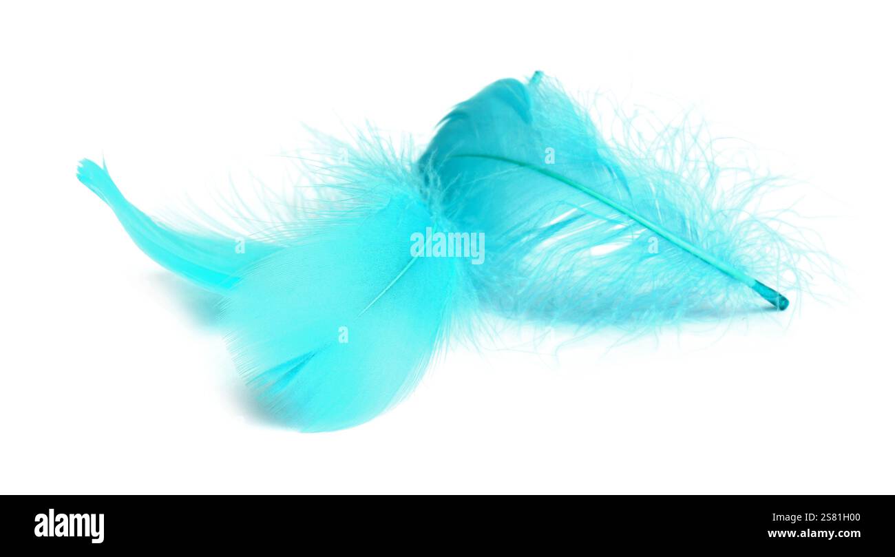 Three fluffy light feathers isolated on white Stock Photo - Alamy