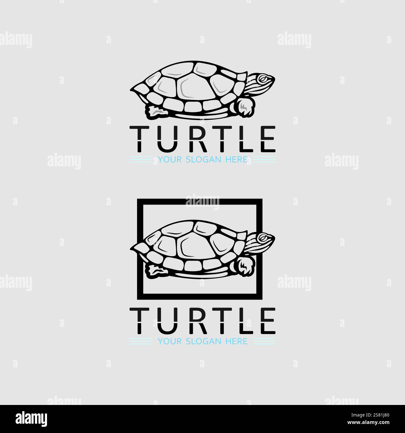 Turtle animal cartoon icon vector illustration Stock Vector