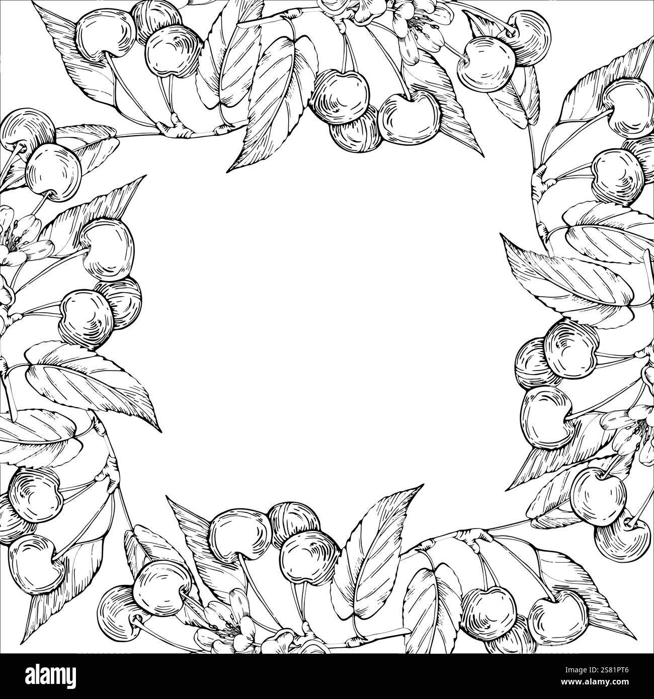 Cherry vector black and white frame hand drawn with ink Stock Vector ...